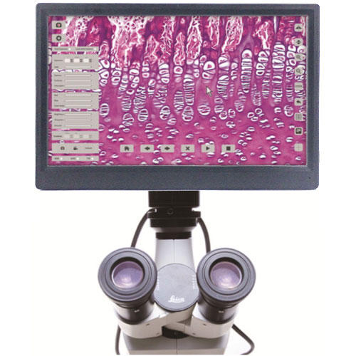 高解像度モニター付顕微鏡HDMIカメラ TC-1000M （画像計測・深度合成