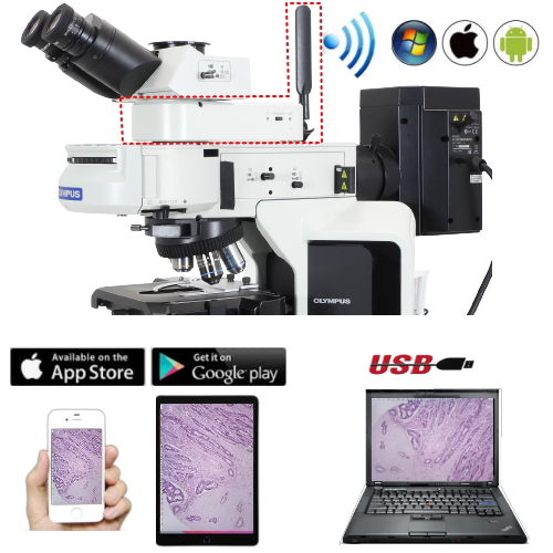 顕微鏡カメラCA-6800WB オリンパス生物顕微鏡BXシリーズ用 Jスコープ 