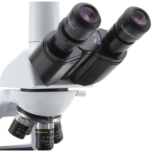 ストアアクティビテ ニコン三眼正立明視野顕微鏡＋おまけ（木箱付き