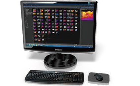 FLIR C3動画解析(FLIR Tools使用時)