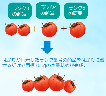 音声ランク選別機 ランクNAVI2【大和製衡】 | デジタル上皿はかり