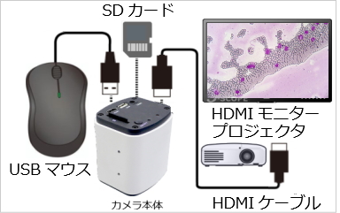 HDMIモニター付マイクロスコープ HF-1500M (USB接続・画像連結ソフト付)【Jスコープ】をHDMIモニターに接続