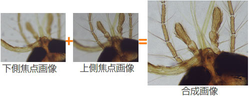 被写界深度合成機能